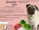 Sensitiv Mini ягненок/рис для собак мелких пород с чувствительным пищеварением